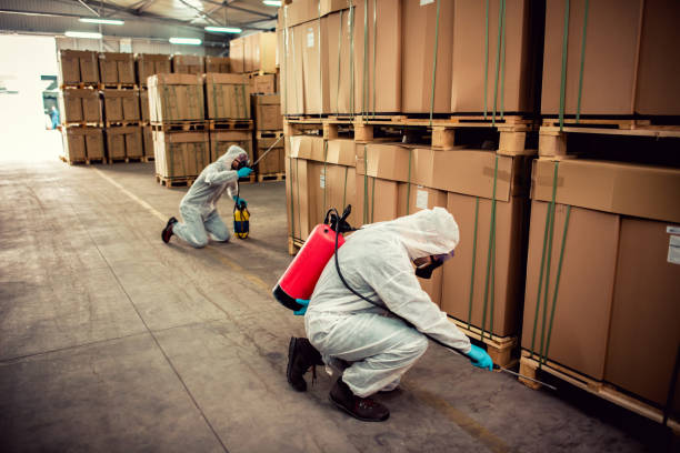 Best Local Pest Control Services  in Pearland, TX