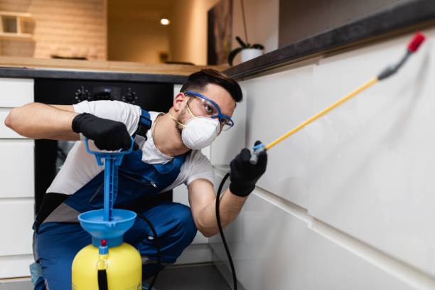 Best Affordable Pest Control Services  in Pearland, TX