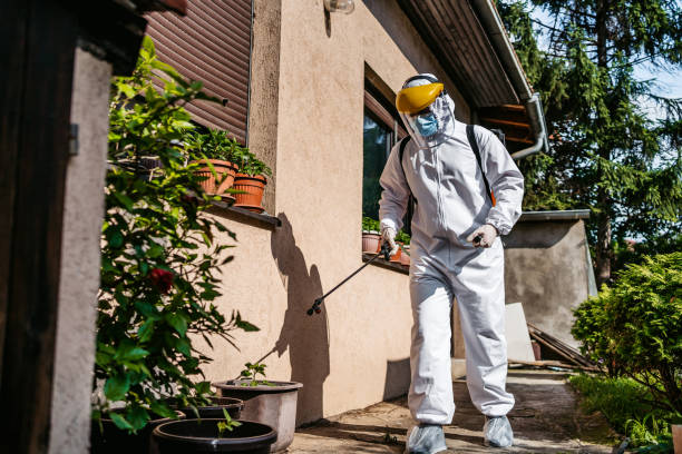 Best Best Pest Control Companies  in Pearland, TX