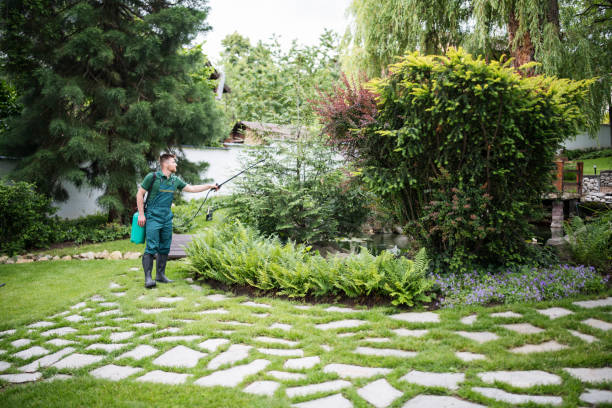 Best Pest Inspection Near Me  in Pearland, TX