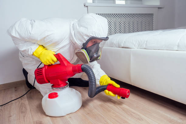 Best Insect Control  in Pearland, TX