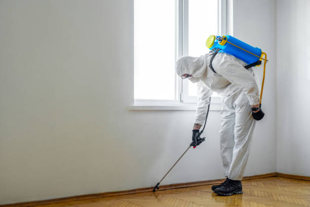 Best Commercial Pest Control Services  in Pearland, TX