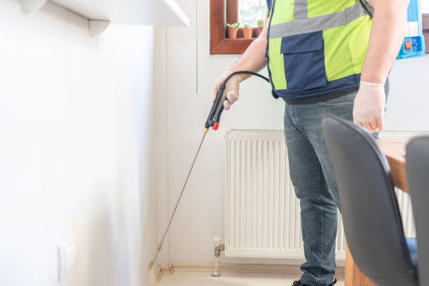 Best Affordable Pest Control Services  in Pearland, TX