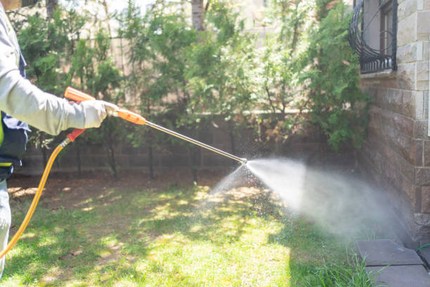 Best Mosquito Control Services  in Pearland, TX