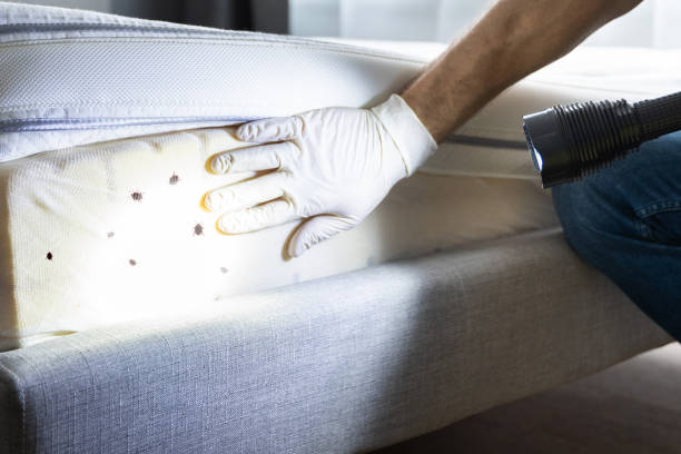 Wildlife Control Services in Pearland, TX