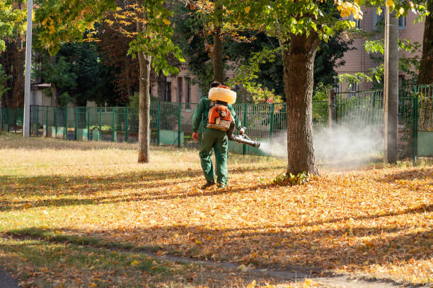 Best Wasp Removal Services  in Pearland, TX