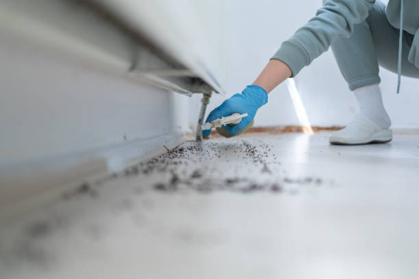 Best Best Pest Control Companies  in Pearland, TX