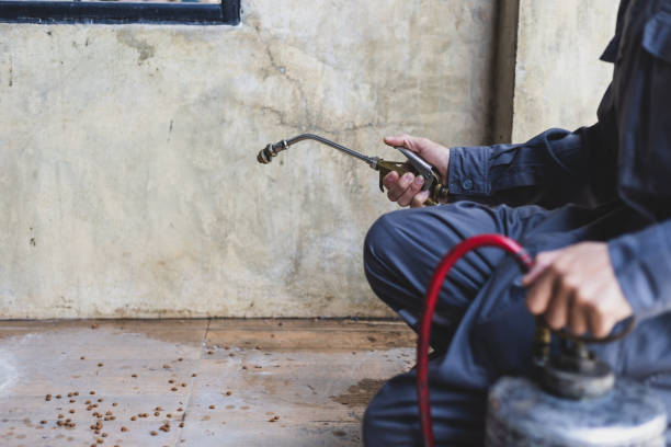 Trusted Pearland, TX Pest Control Experts